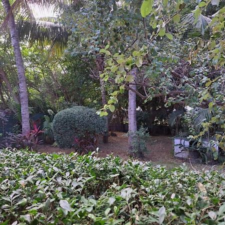 Maison A L'Ermitage La Saline Le Bains Εξωτερικό φωτογραφία