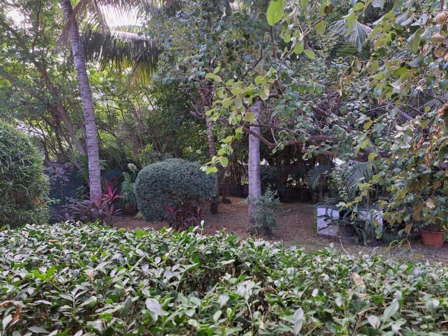 Maison A L'Ermitage La Saline Le Bains Εξωτερικό φωτογραφία