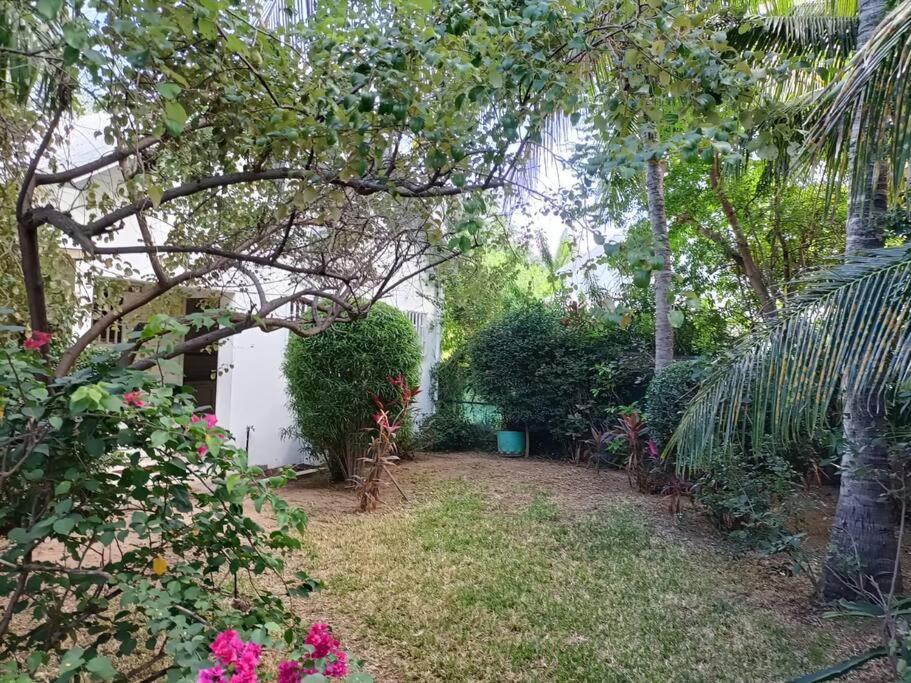 Maison A L'Ermitage La Saline Le Bains Εξωτερικό φωτογραφία